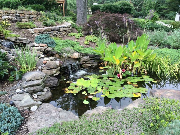 Transforming a Hillside into Pond and Waterfall - Claire Jones Landscapes