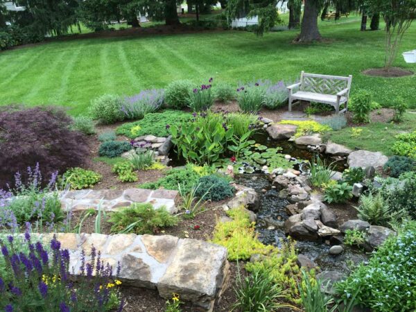 Transforming a Hillside into Pond and Waterfall - Claire Jones Landscapes