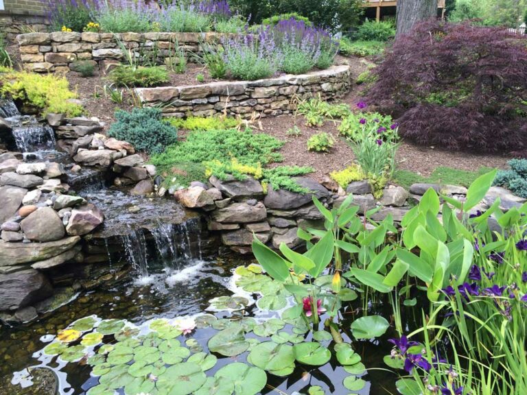 Transforming a Hillside into Pond and Waterfall - Claire Jones Landscapes